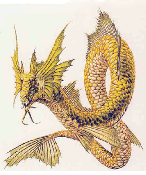 Dragon-kin, Sea Wyrm