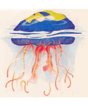 Jellyfish, Giant (Mystara)