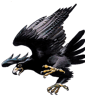 Raven/Crow
