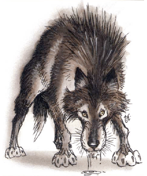 Wolf, Dread
